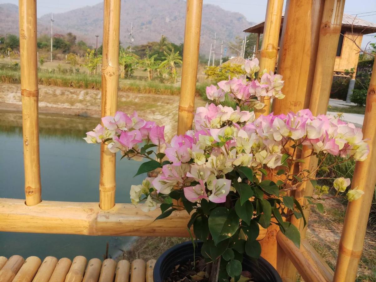คูณ-เนื่อง ฟาร์ม สเตย์ หัวหิน Koon & Nueang Farm Stay Hua Hin Ban Bo Fai Dış mekan fotoğraf